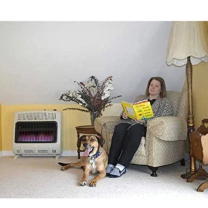 Mr. Heater Vent Free Blue Flame 30000 BTU Natural Gas Heater