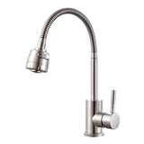 Single Handle Faucet Kitchen Sink Hot Cold Shower With Hose Faucet
