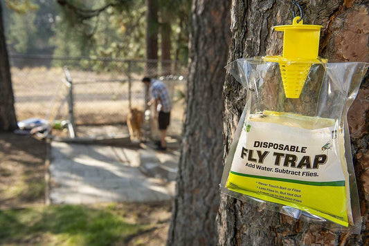 RESCUE! Non-Toxic Outdoor Disposable Fly Trap Catcher, 2 Packs